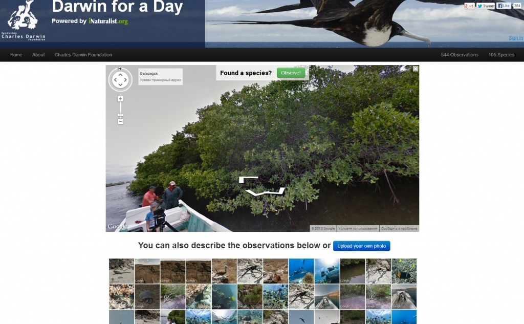 Фрагмент интерфейса сайта Darwin for a Day