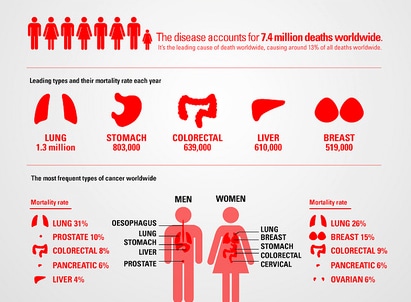Фото:CC BY 2.0/flickr.com/photos/gdsdigital