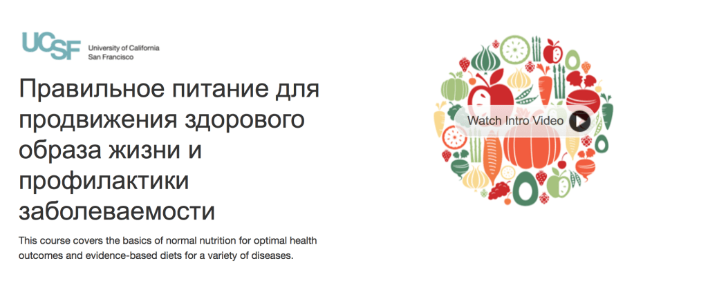 Правильное питание для продвижения здорового образа жизни и профилактики заболеваемости