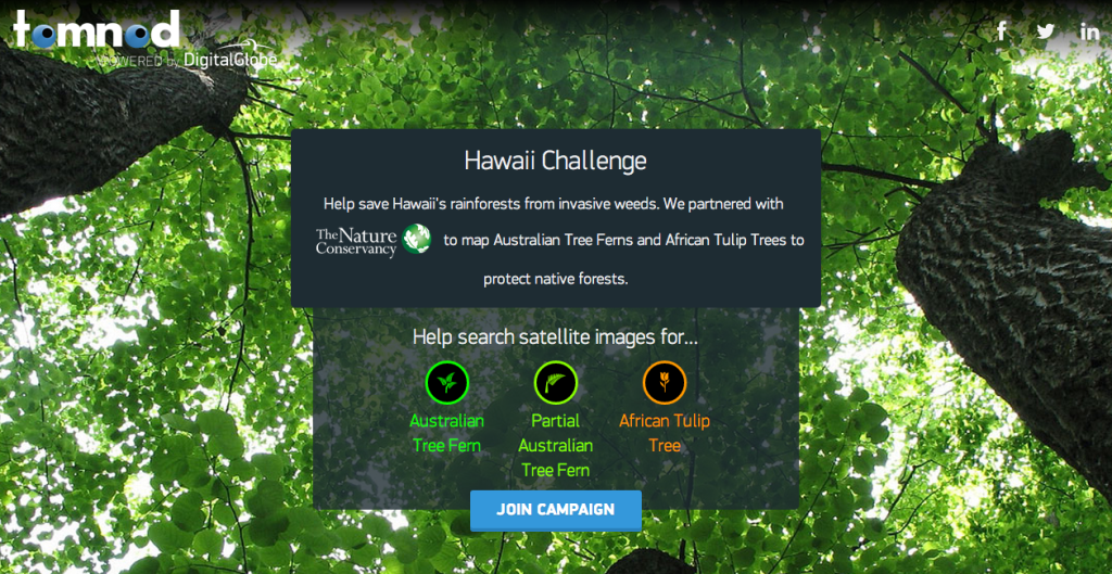 Фрагмент интерфейса сайта Tomnod.