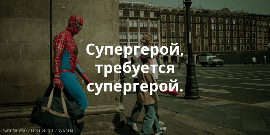 Создать логотип, реанимировать сайт и помочь бездомным собакам. Недельный обзор интересных заявок на сайте IT-волонтёр