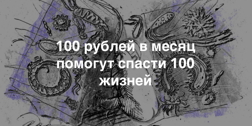 Источник фото: http://nuzhnapomosh.ru/2014/12/kazhdyjj-vtorojj-vyzhivet/