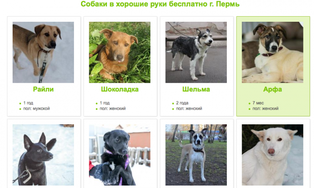 Фрагмент сайта "Дозор". Источник фото: http://dozor-59.ru.