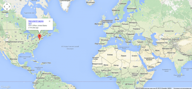 Фрагмент карты Wikipedia Vision.