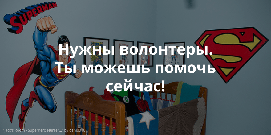 Помогите создать брошюру с инфографикой для фонда «Димина мечта». Обзор заявок на сайте IT-волонтёр за неделю