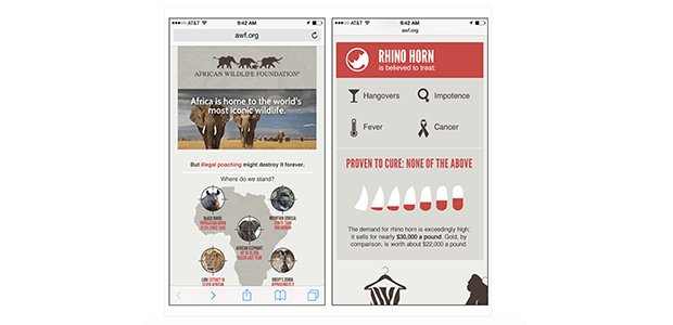 Инфографика на экране смартфона. Изображение: nptechforgood.com
