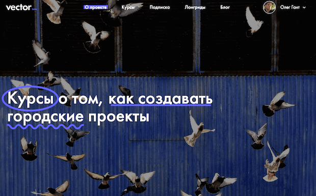 Как онлайн-школа Вектор создает онлайн-курсы