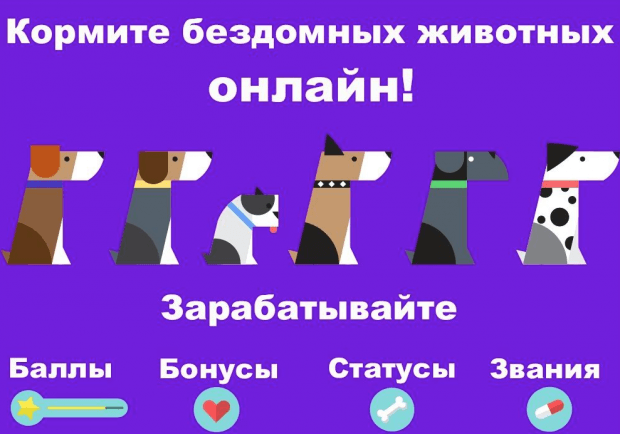 Инфографика проекта Teddy Food