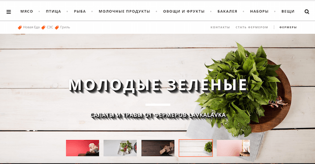 Фермерский Кооператив LavkaLavka