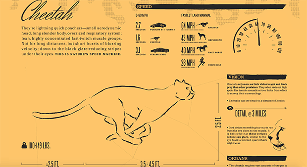 Изображение: animagraffs.com