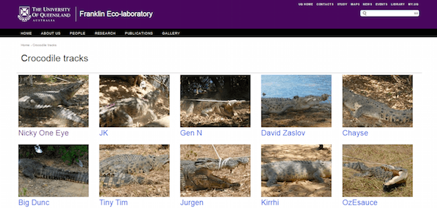Crocodile tracks – интерактивная карта передвижения крокодилов