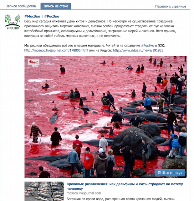 Как НКО использовать визуализацию. Опыт экологического проекта #РосЭко