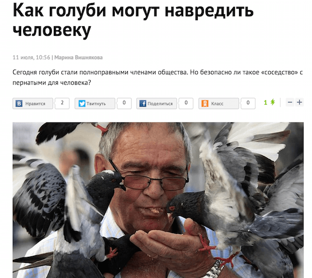 Как голуби могут навредить человеку - запоминающаяся первая и другие фотографии.