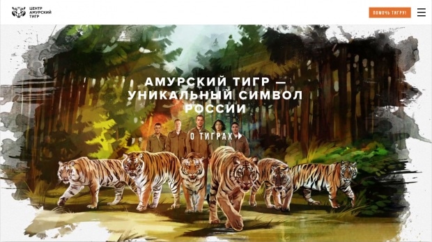 Результаты конкурса интернет-проектов «Золотой сайт 2015»