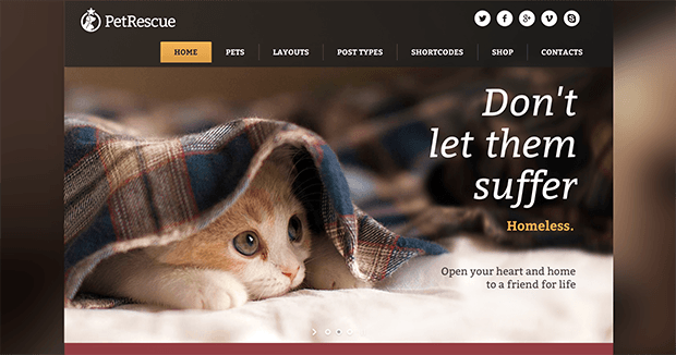 Изображение: themeforest.net