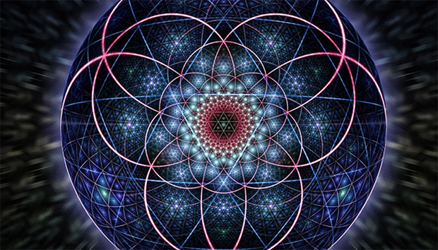 Изображение: Travis Randall Williams.