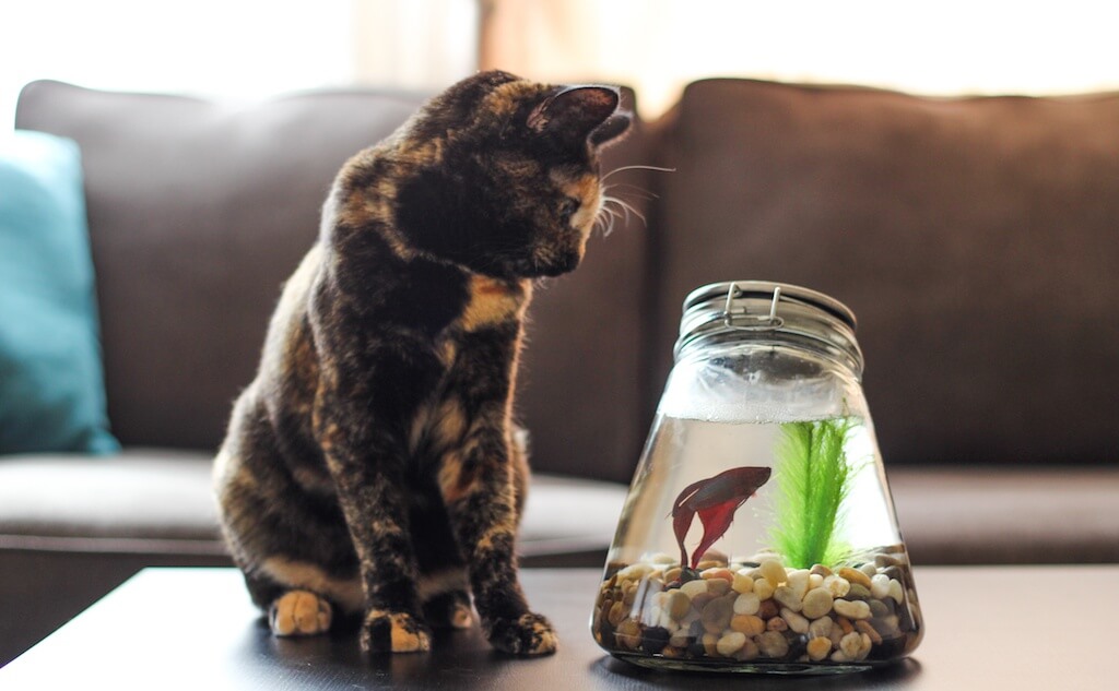 О главном и интересном на этой неделе, о мероприятиях, которые нельзя пропустить, и о статьях, которые стоит прочесть. Фото: Goodstock. (CC0)