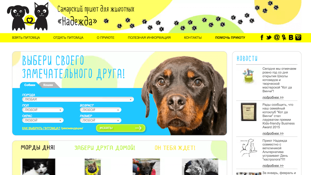 Самарский приют для животных официально существует с 2012 года, хотя помощью брошенным и бездомным животным активисты занимались и ранее. Поиск хозяев для своих подопечных приют ведет через Интернет. Для этого они используют группы в социальной сети ВКонтакте и сайт. С помощью этих инструментов в 2015 году новых хозяев нашли 174 собаки и 78 кошек.
