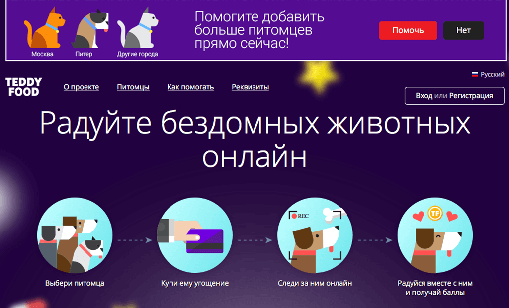На Boomstarter идет сбор средств на проект Teddy Food, онлайн-сервис помощи бездомным животным.