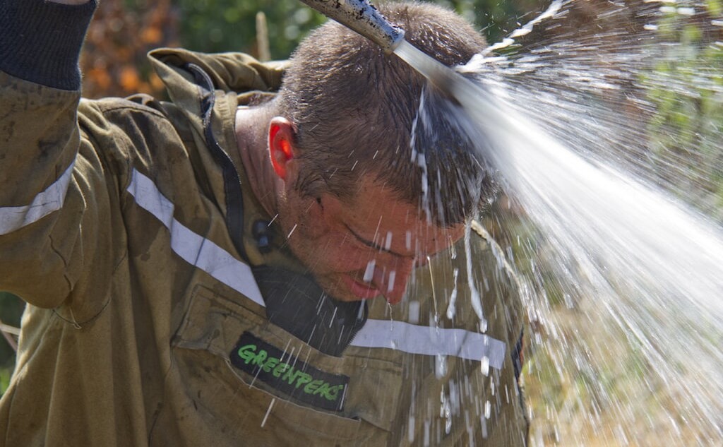 Подавляющее большинство лесных пожаров возникают из-за деятельности человека. Фото: фрагмент с промо-видео Гринпис России