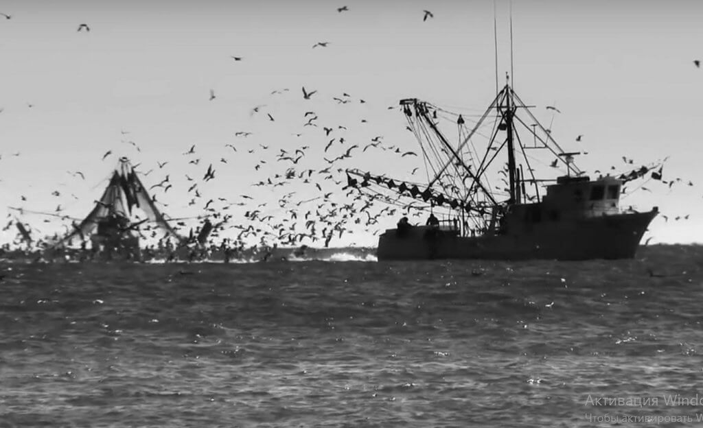 Прототип сервиса был запущен несколько лет назад, сейчас Google выпустил полноценную версию. Фото: скриншот из промовидео проекта.