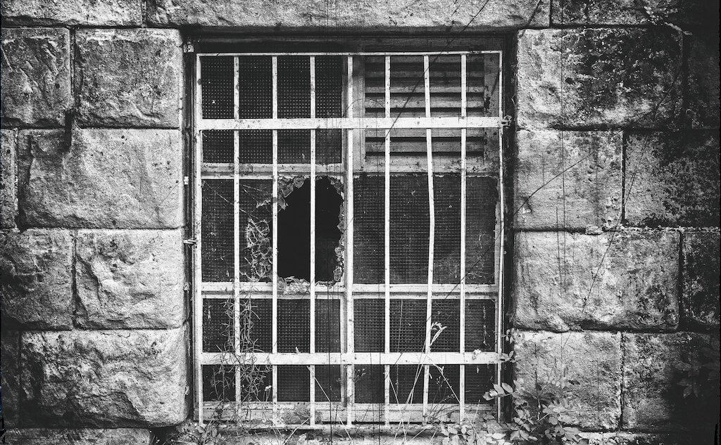 Но возникает вопрос: кто отсматривает все эти терабайты, и реально ли это вообще? Фото: allfreestocks.com (CC0).