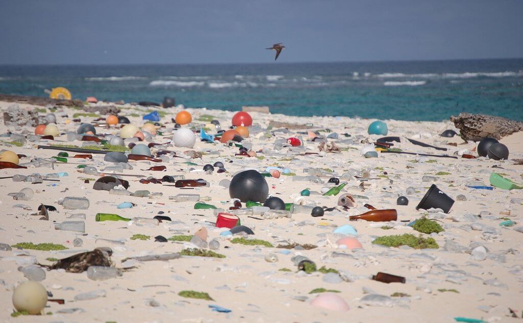 Мусор, попавший в океан с суши, а затем вынесенный прибоем обратно на берег. Фото: Flickr USFWS Headquarters (CC BY 2.0).
