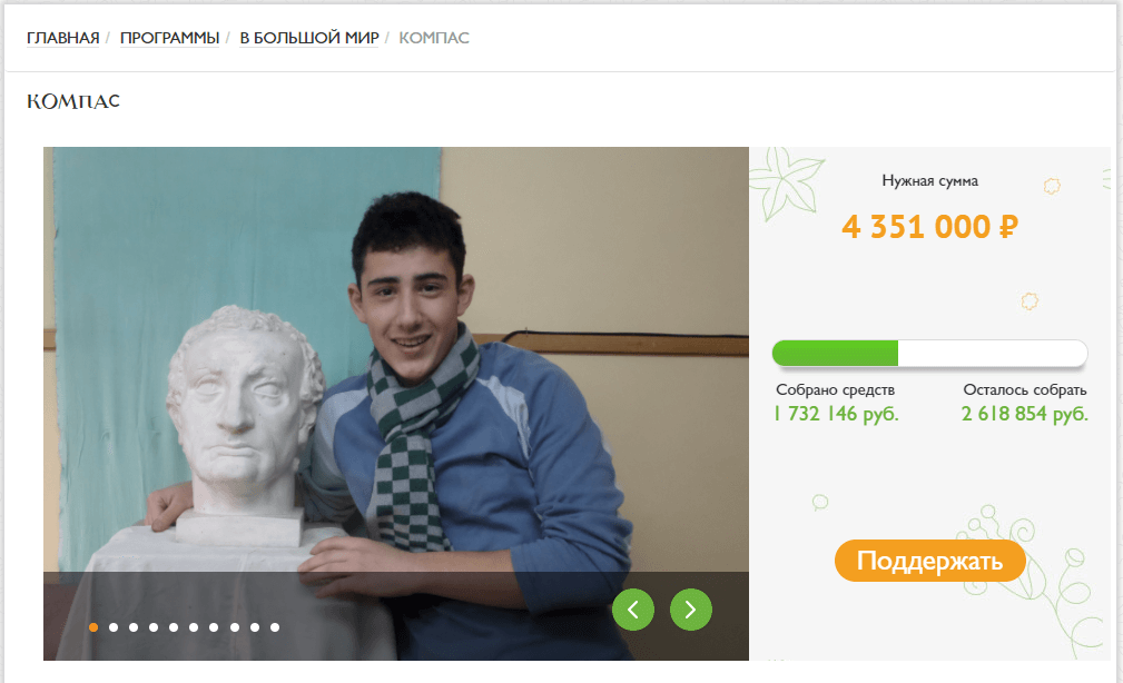 При оплате веб-версии Lingualeo Premium каждый пользователь может пожертвовать 10 рублей в фонд. Изображение: скриншот с сайта detinashi.ru