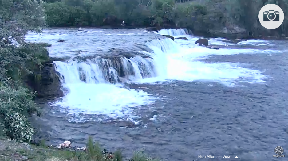 Вы можете посетить национальный парк на Аляске и понаблюдать, как медведи плещутся в воде и ловят лосося в реке Брукс. В парке установили пять камер. Изображение с сайта earth.google.com