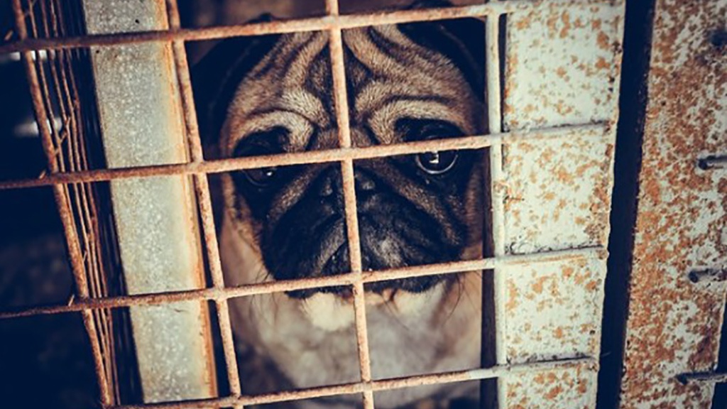 Рассказываем, что изменилось в работе с персональными данными и что нужно сделать, чтобы не получить штраф.