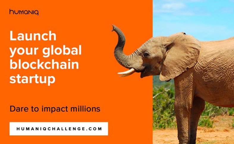Организаторы выберут 30 лучших команд, которые доработают свои решения с экспертами конкурса. По итогам конкурса жюри выберет проекты, которые получат международную PR-поддержку, шанс привлечь инвестиции и стать резидентами акселератора Humaniq. Фото: сайт кампании.