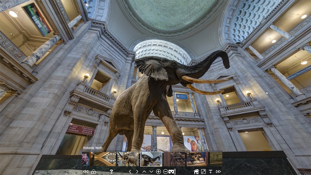 Попытки соединить музейное дело и современные технологии начались с продажи CD с фотографиями экспонатов. На смену им пришли виртуальные туры и мобильные приложения.