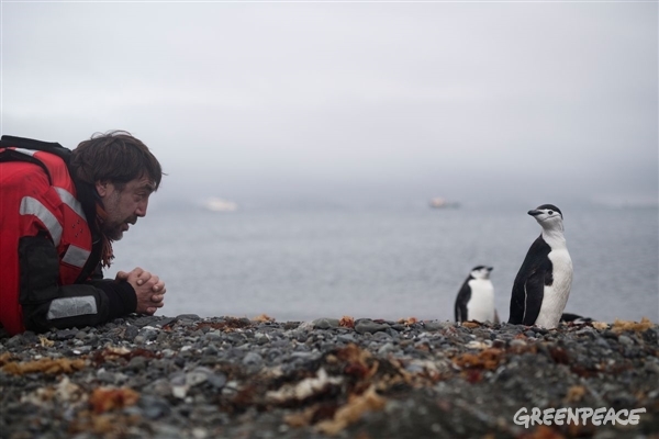 Разбираемся, как именно были проведены три успешные фандрайзинговые кампании Гринпис. На фото: фаргмент страницы кампании "Стань хранителем тайги". Изображение с сайта www.join.greenpeace.ru