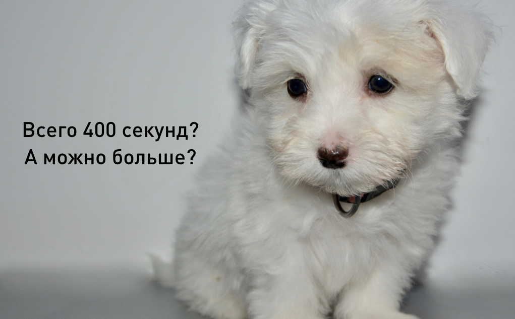 У вас нет времени на пустые слова. Начинайте свою презентацию с главной мысли. Фото для презентации: Pexels.com (CC0).