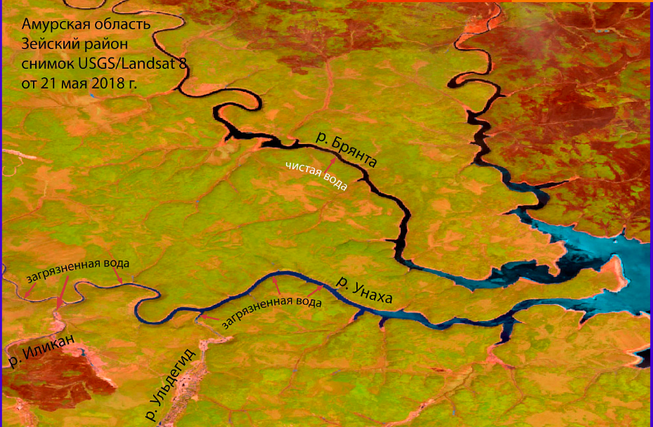 В Амурской области экологи уже зафиксировали первые случаи негативного воздействия на водные объекты. На изображении спутниковый мониторинг. Изображение с сайта new.wwf.ru