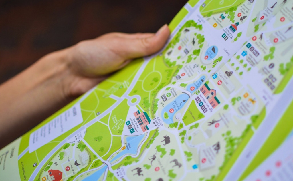 Хороший картографического дизайн - это баланс информативности и читабельности. Так считает Тая Лавриненко. Изображение с сайта pexels.com (CC0).