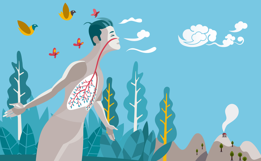 Дышите глубже: как активисты Breathe.Moscow мониторят воздух