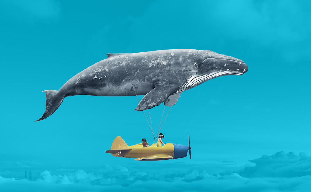 Benevity помогает развивать движение pro bono. Изображение: benevity.com.