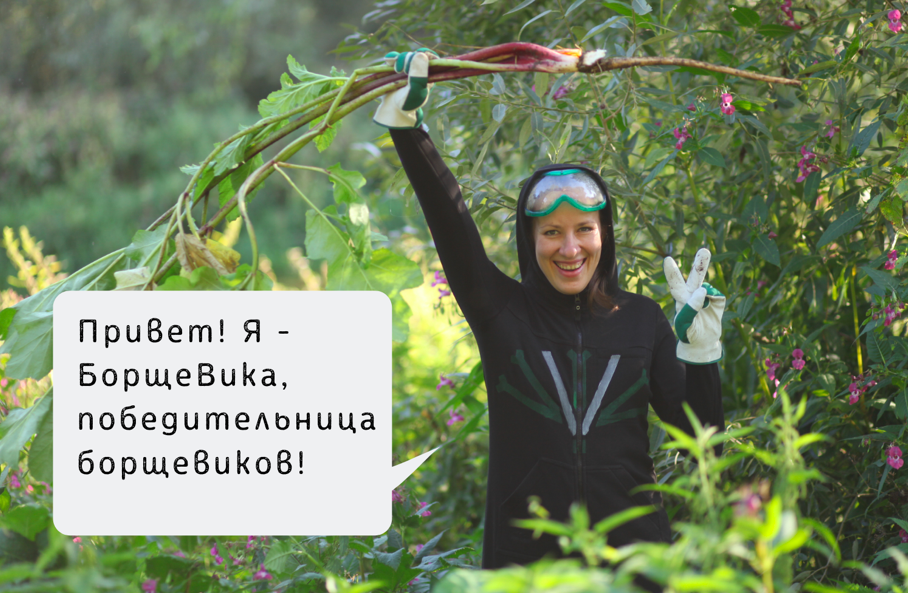 Марина Шайкина создала сайта и карту для борьбы с борщевиком. Фото с сайта Борщеvиктори.
