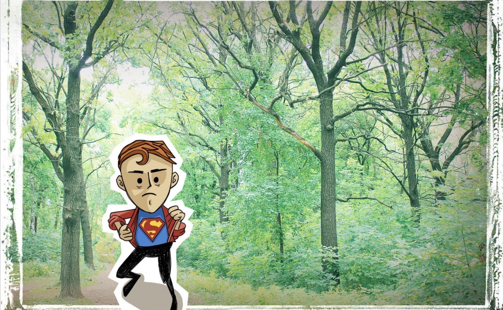 Остановить незаконную вырубку можно с помощью советов из игры "42" экоцентра "Дронт". Фото с сайта проекта.