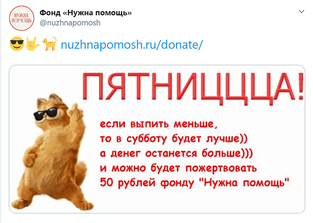 Иногда уместны котики. Скриншот из соцсети