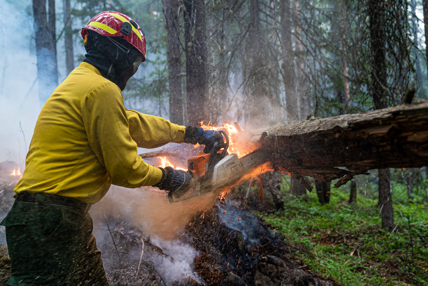 Фото: Юлия Петренко / Greenpeace.