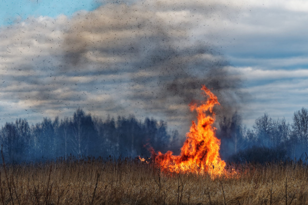 Фото: Александра Тевкина / Greenpeace.