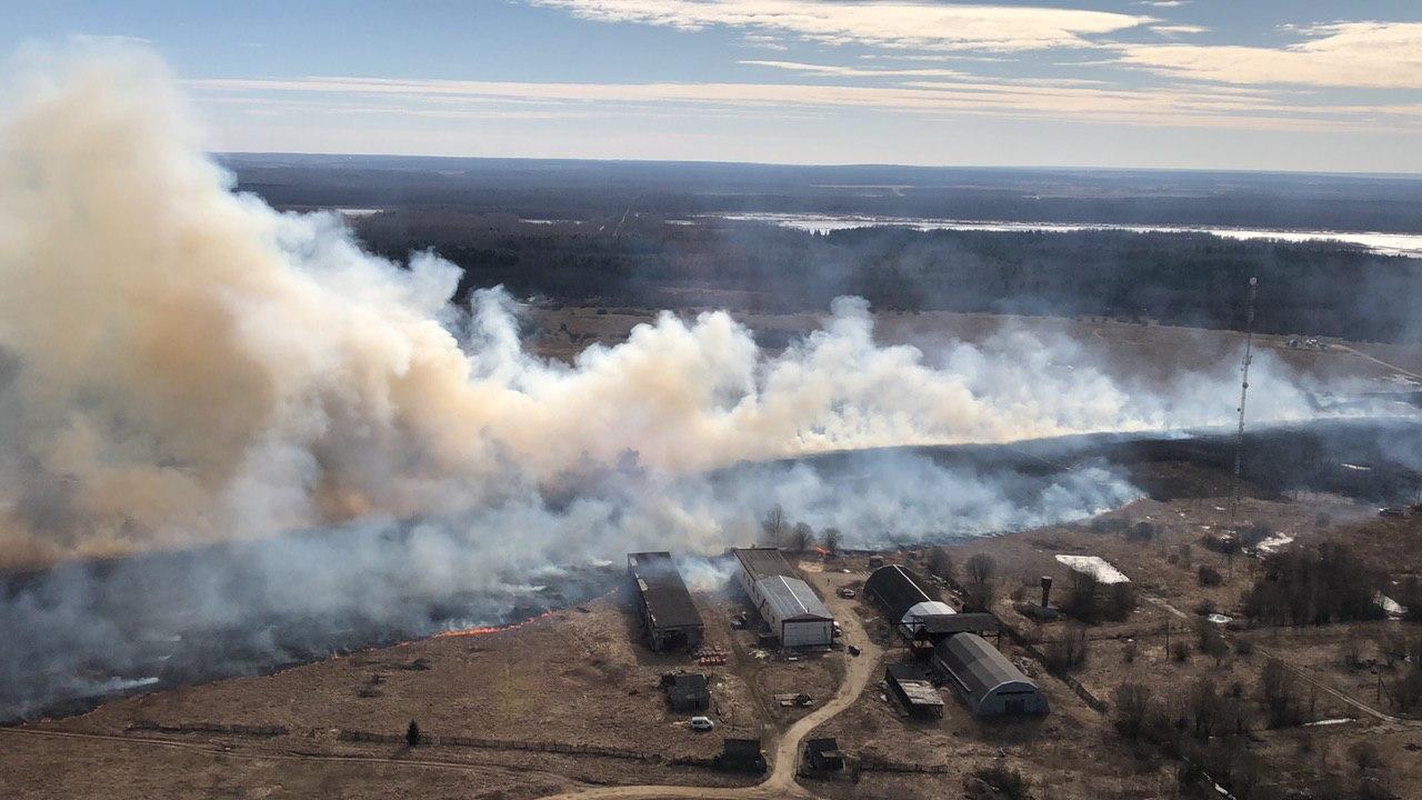 Фото: Григорий Куксин / Greenpeace.