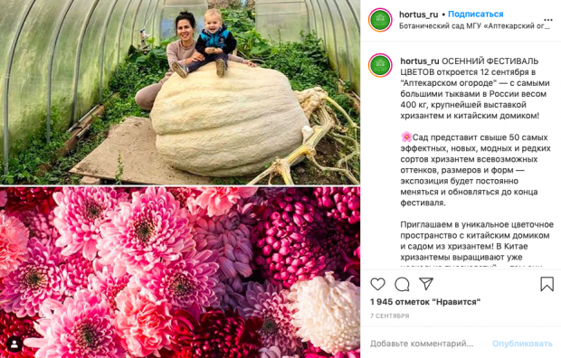 Изображение: Instagram @hortus_ru.