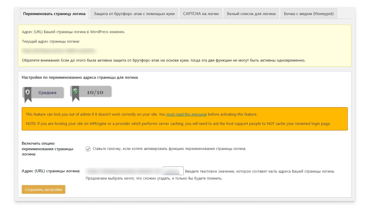 Скриншот раздела по защите от брутфорс-атак