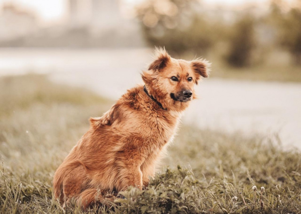 Пример удачной иллюстрации. Фото предоставлено автором.