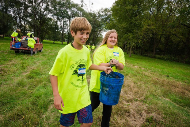 Изображение: Trees Forever.