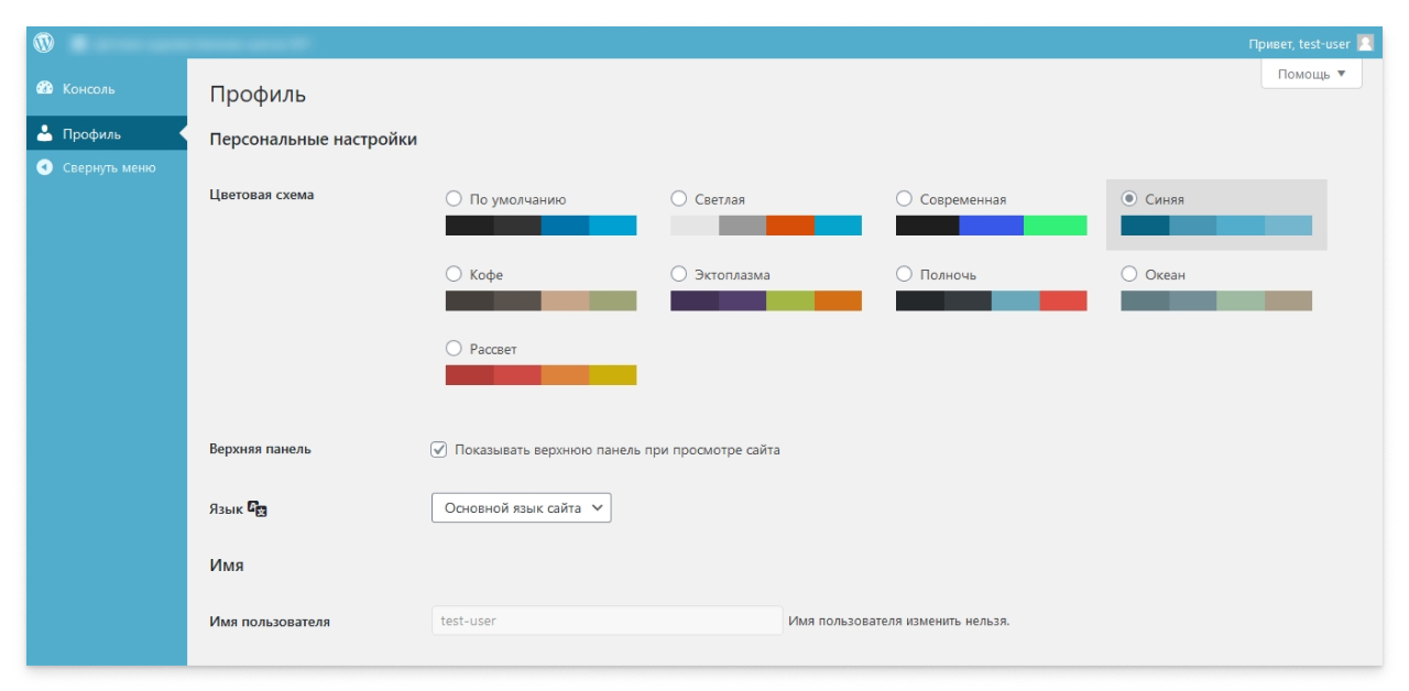 Консоль сайта WordPress для пользовательской роли подписчика