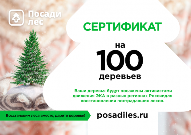 Изображение: Сертификат PosadiLes.